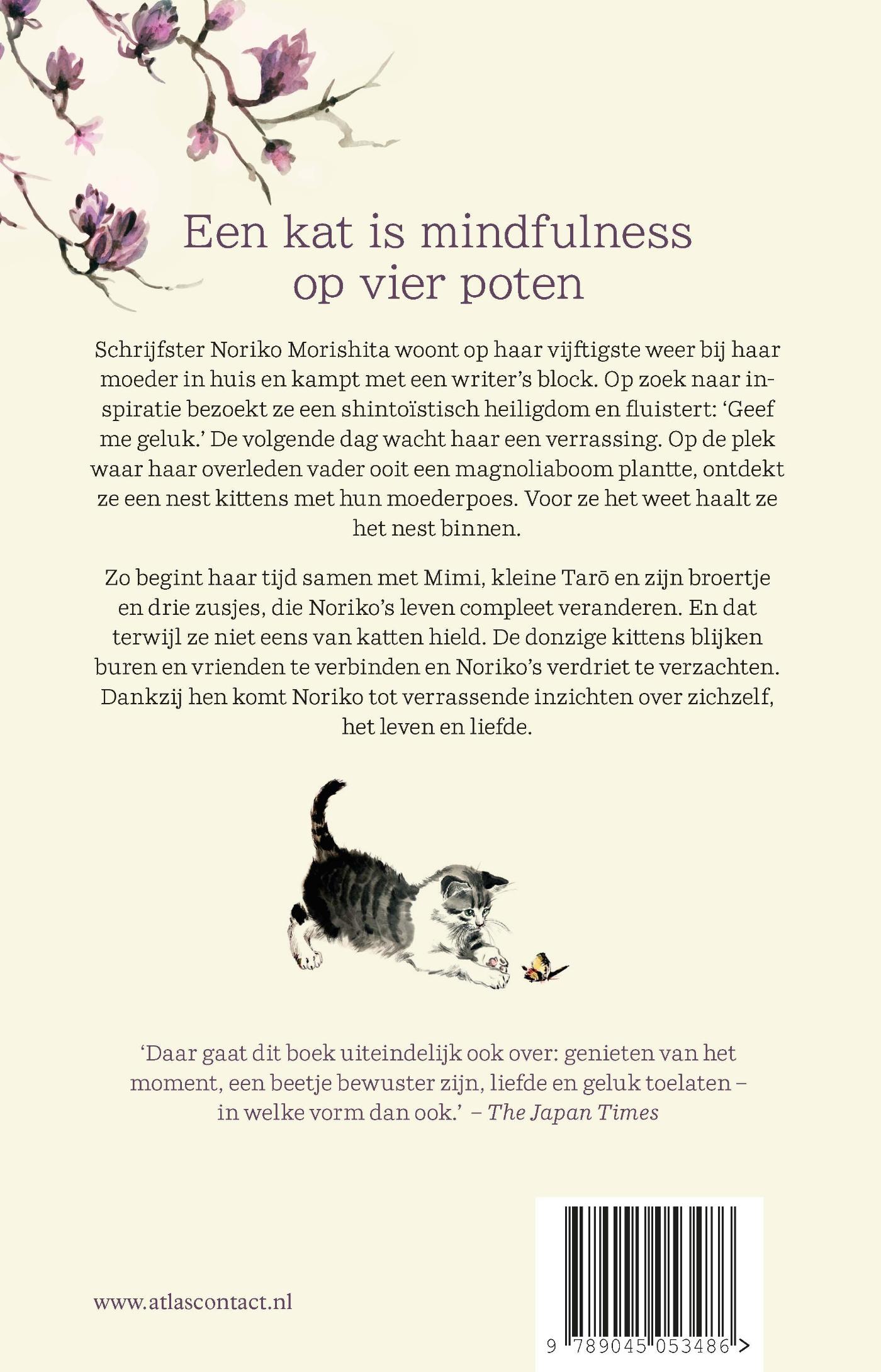 Achterkant van De magnoliakatten