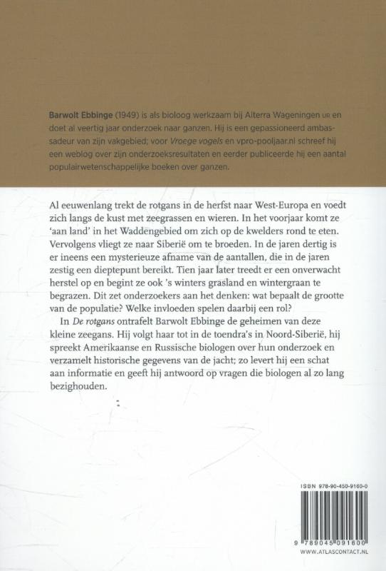 Achterkant van De rotgans