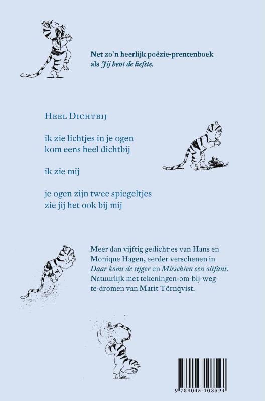 Achterkant van Lichtjes in je ogen