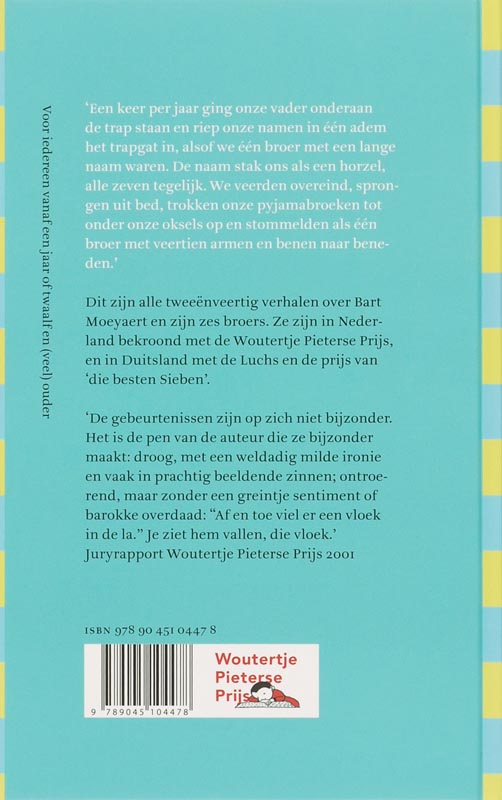 Achterkant van Broere