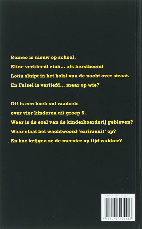 Achterkant van Het raadsel van groep 6