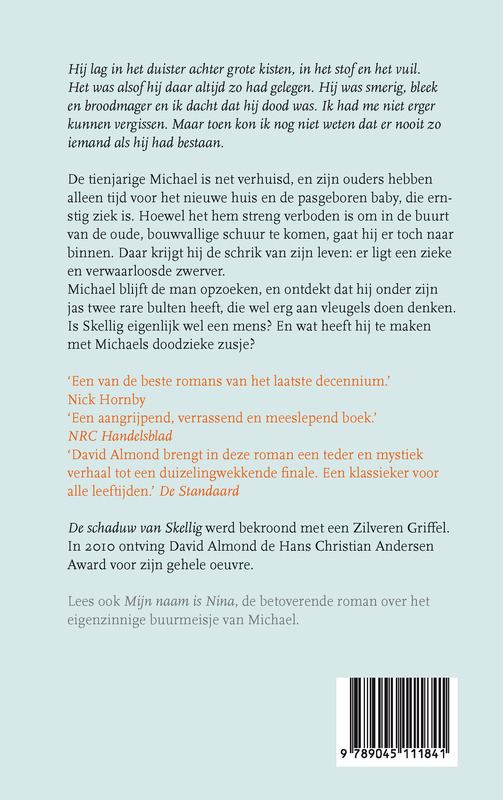 Achterkant van De schaduw van Skellig