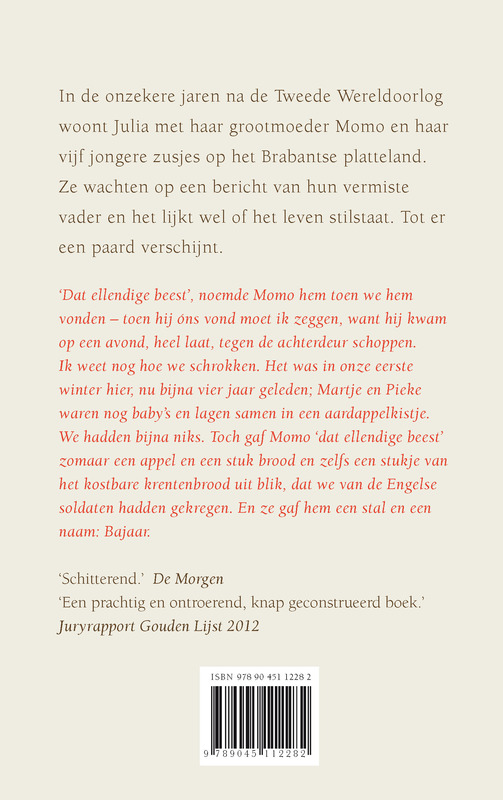 Achterkant van Bajaar