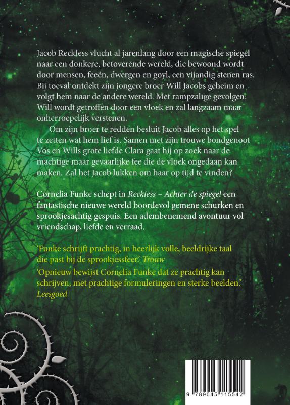 Achterkant van Achter de spiegel
