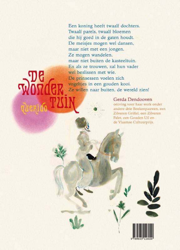 Achterkant van De wondertuin