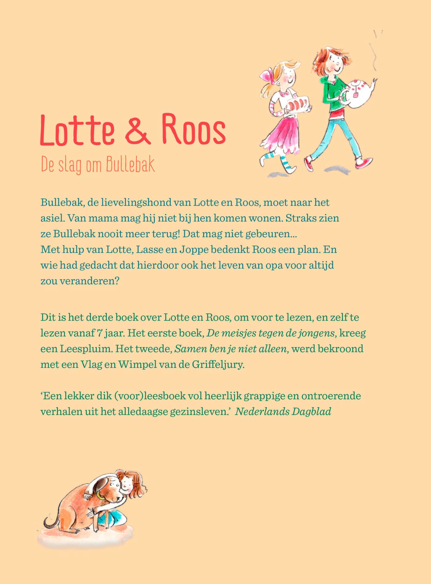 Achterkant van De slag om Bullebak
