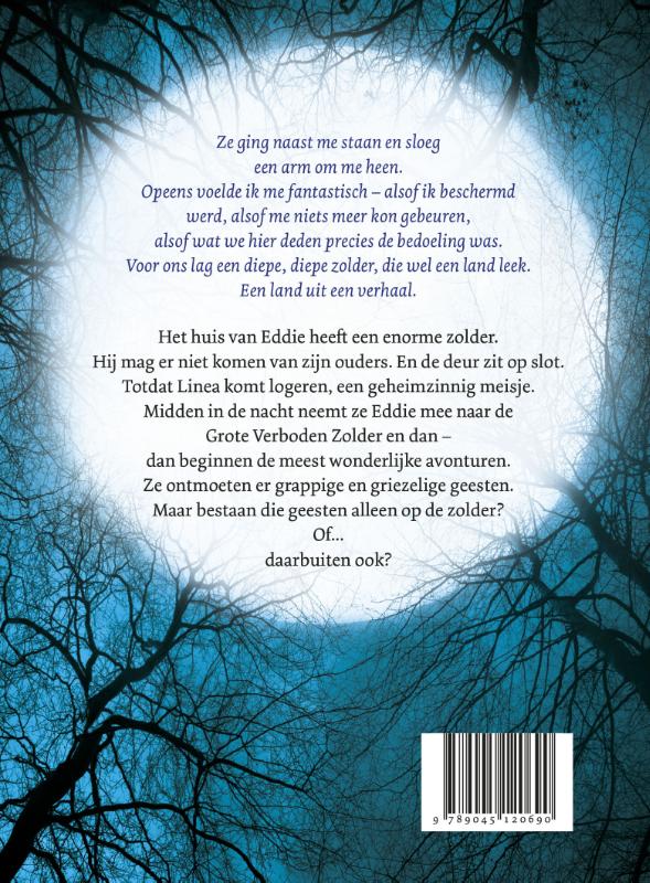 Achterkant van De grote verboden zolder