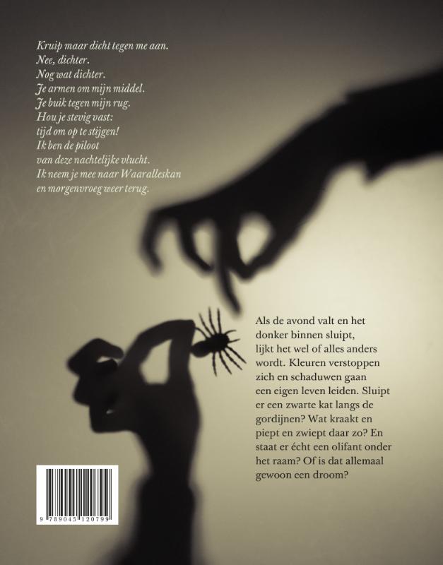 Achterkant van Gewoon een droom