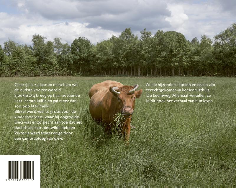 Achterkant van Het koeienparadijs