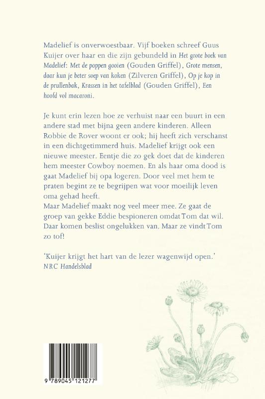 Achterkant van Het grote boek van Madelief