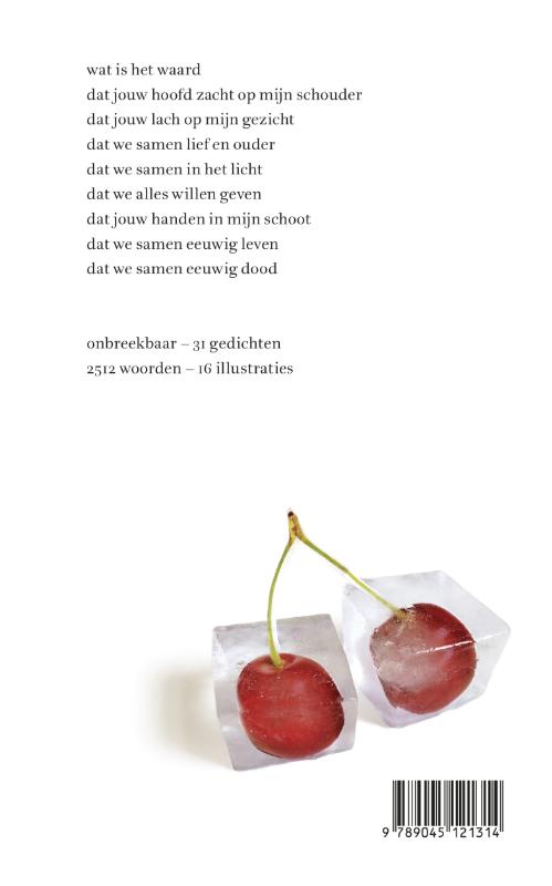 Achterkant van Onbreekbaar