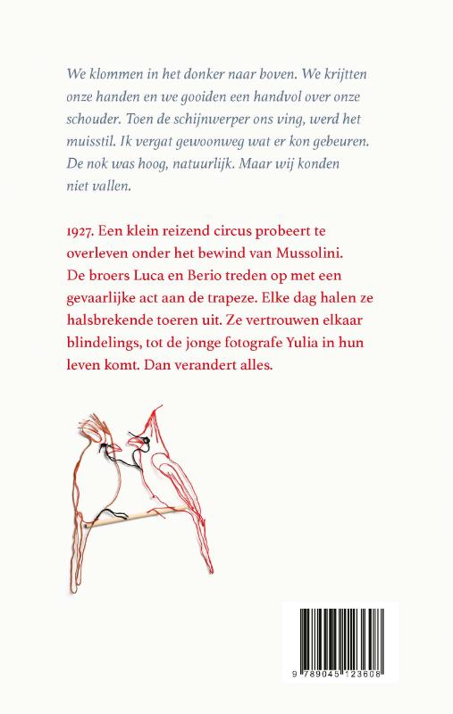 Achterkant van Alles wat licht is