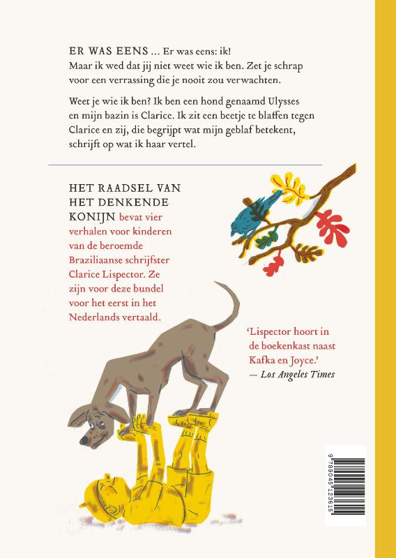 Achterkant van Het raadsel van het denkende konijn en andere verhalen