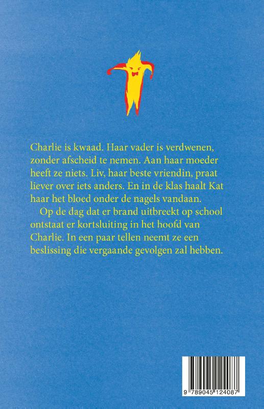 Achterkant van Leugenaar leugenaar
