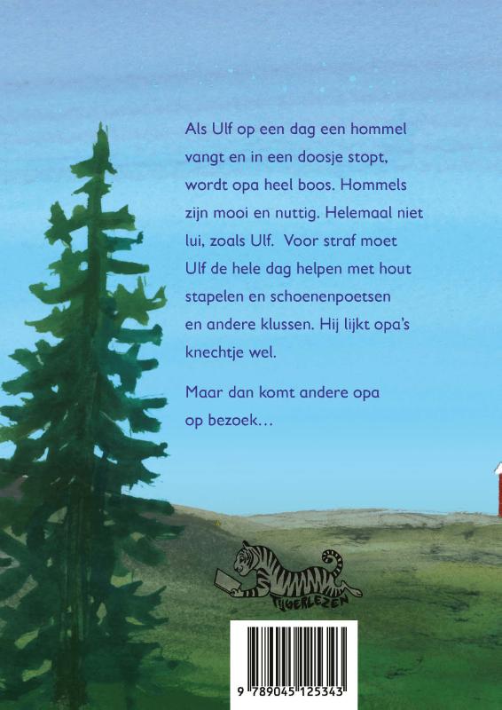 Achterkant van Hoe ik de vissen leerde vliegen