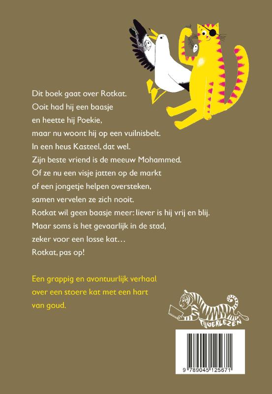 Achterkant van Rotkat