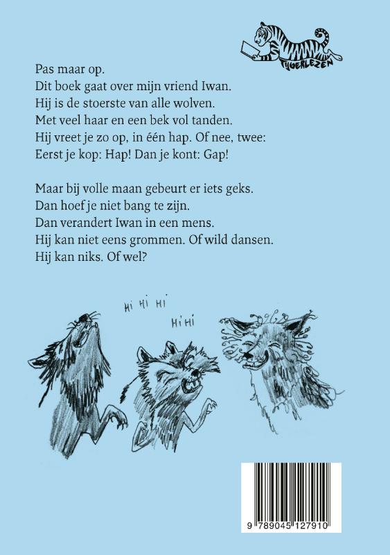 Achterkant van Wolvenweer