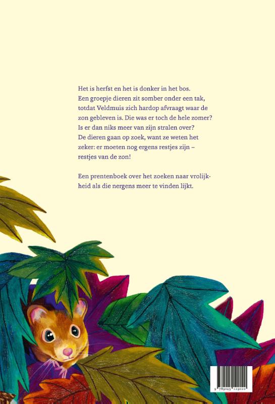Achterkant van De restjes van de zon