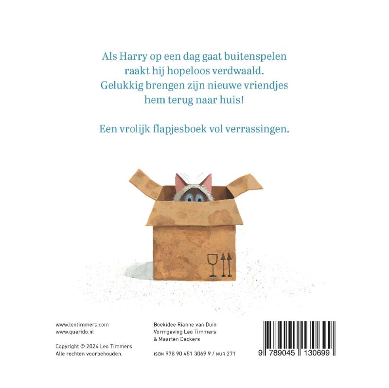 Achterkant van Een huis voor Harry