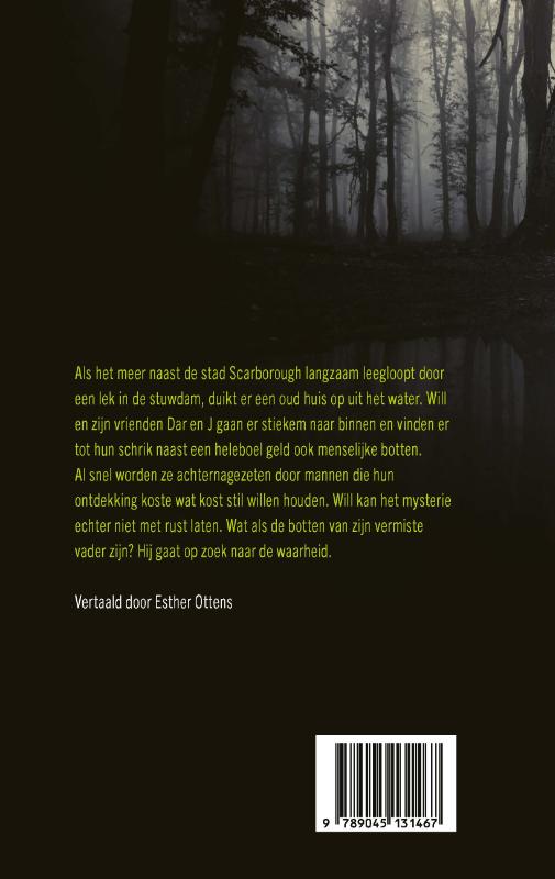 Achterkant van Scar Town