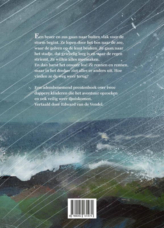 Achterkant van Eilandstorm