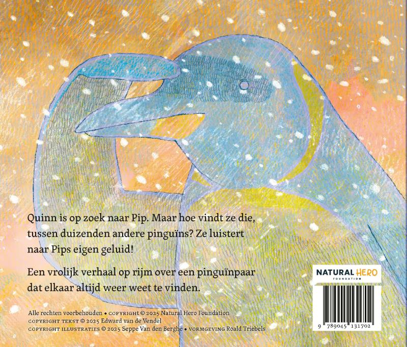 Achterkant van Koningspinguïn Quinn