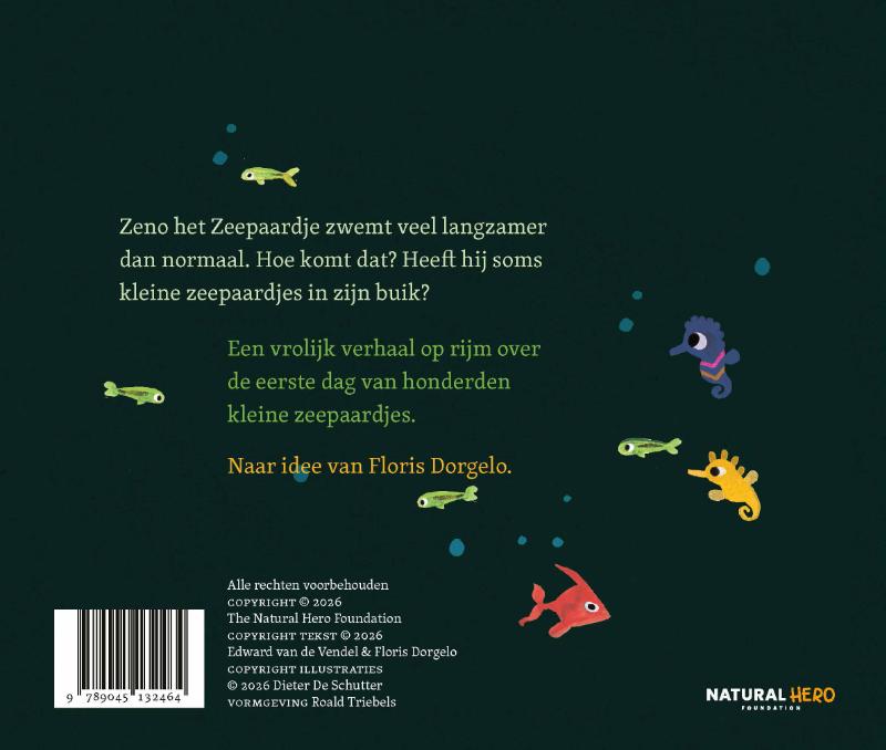 Achterkant van Zeepaardje Zeno