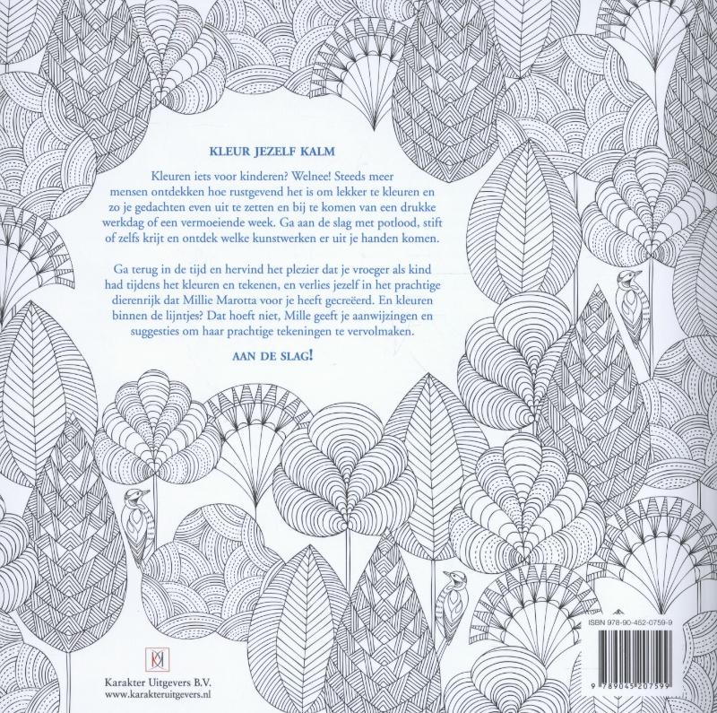 Achterkant van Dierenrijk kleurboek