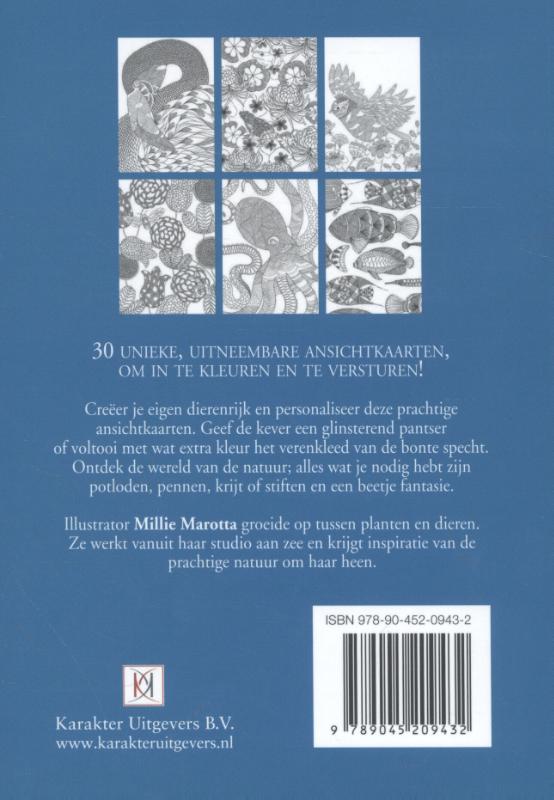 Achterkant van Dierenrijk