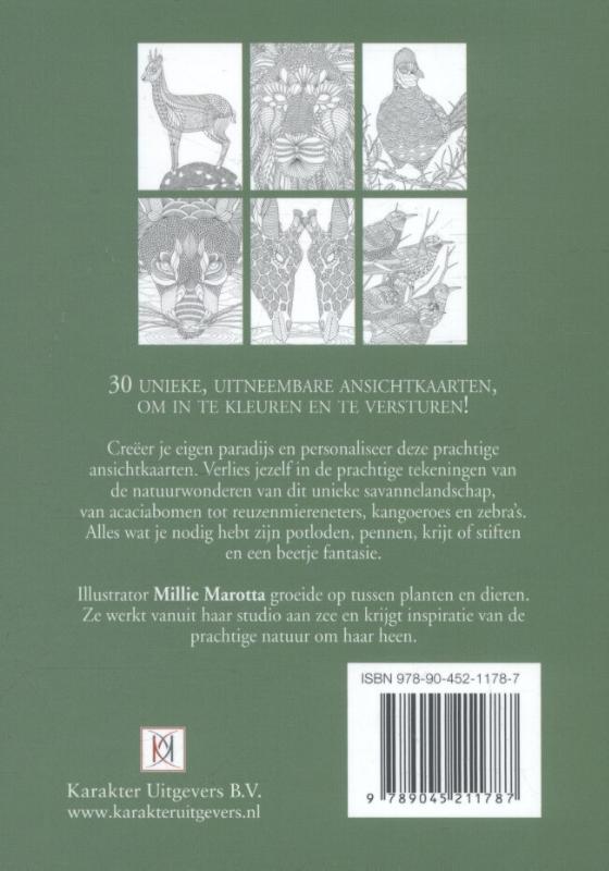 Achterkant van De savanne