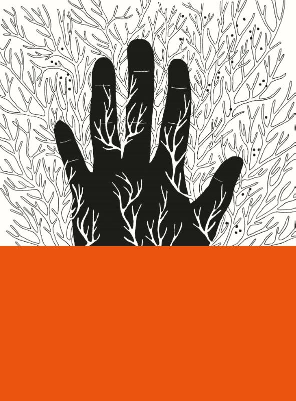 Achterkant van Noma's handboek voor fermenteren