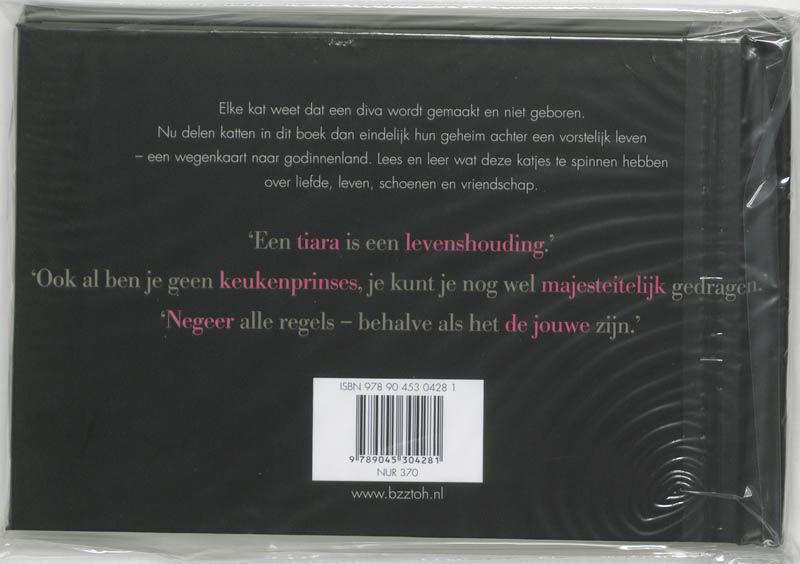 Achterkant van Cattitude
