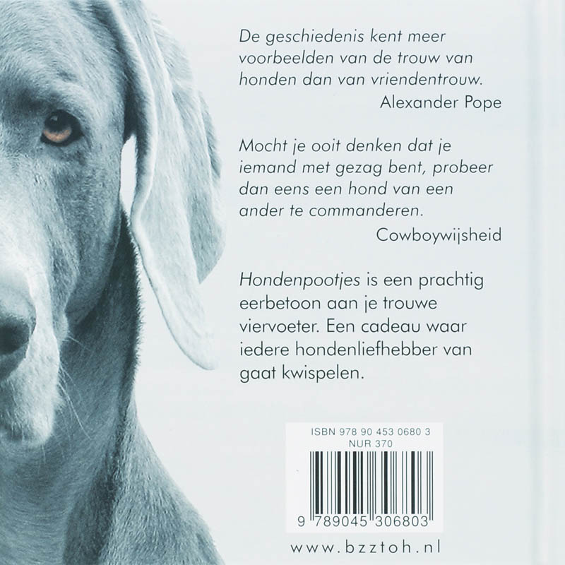 Achterkant van Hondenpootjes
