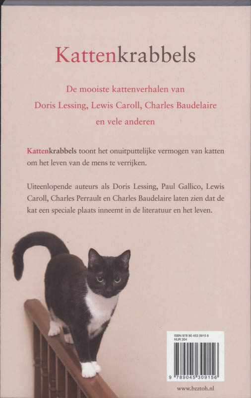 Achterkant van Kattenkrabbels