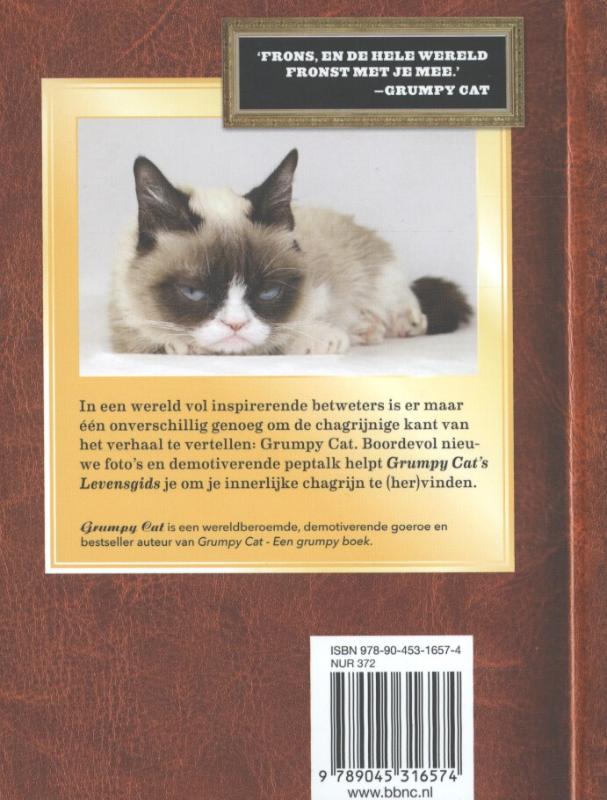 Achterkant van Grumpy cat's levensgids