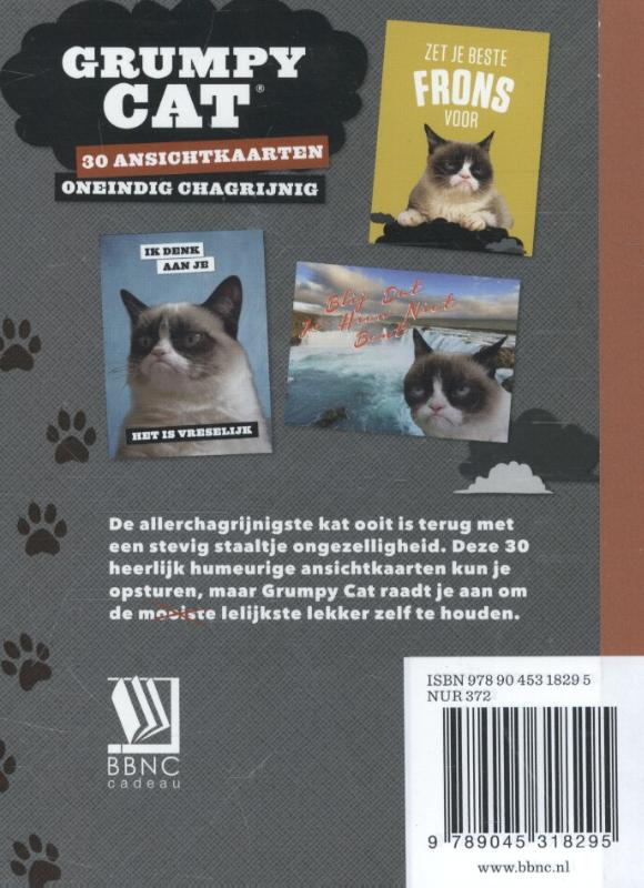 Achterkant van Grumpy cat