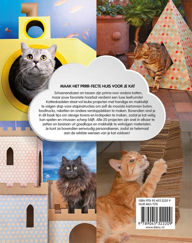 Achterkant van Kattenkastelen