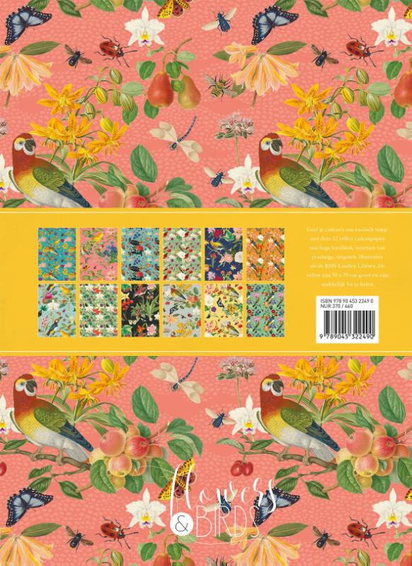 Achterkant van F&B Exotisch cadeaupapier
