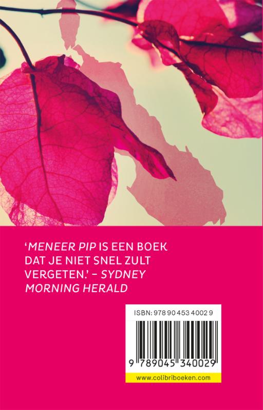 Achterkant van Meneer Pip