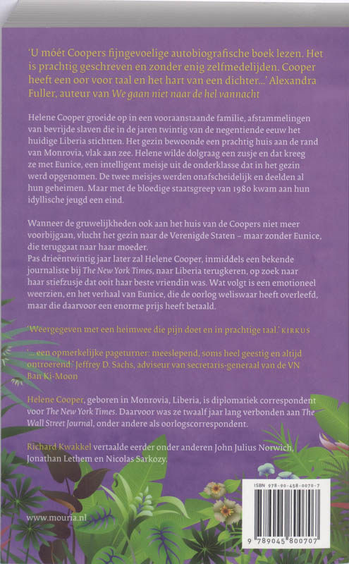Achterkant van Het huis aan het strand
