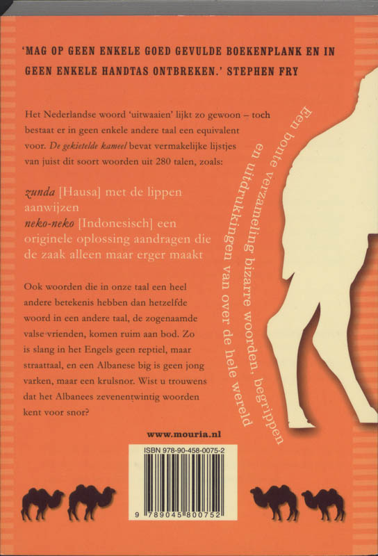 Achterkant van De gekietelde kameel