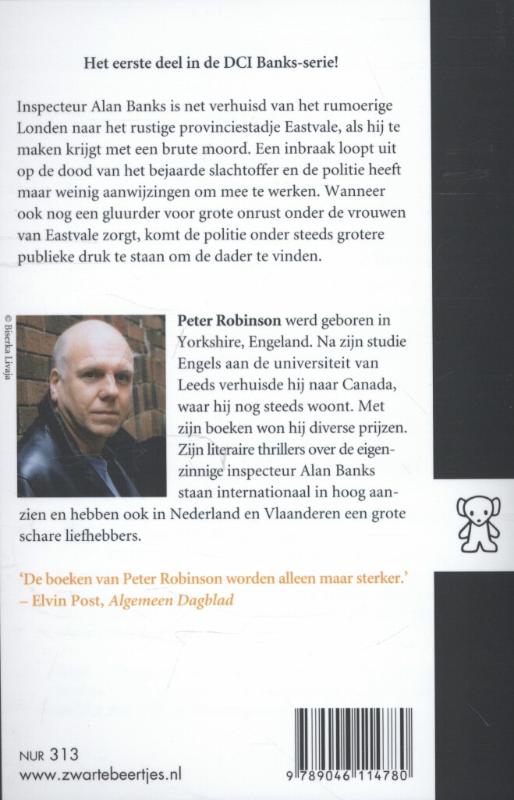 Achterkant van Stille blik