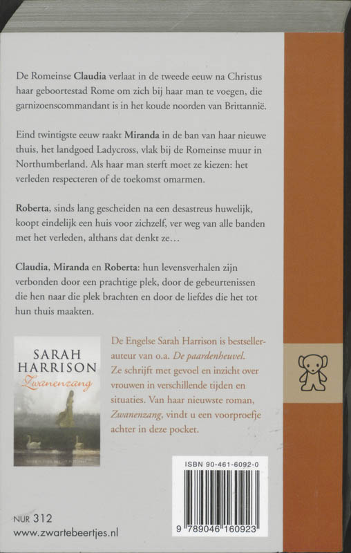 Achterkant van De bronzen hond