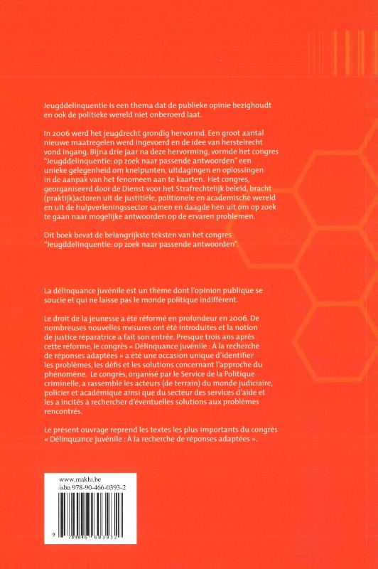 Achterkant van Jeugddelinquentie: op zoek naar passende antwoorden