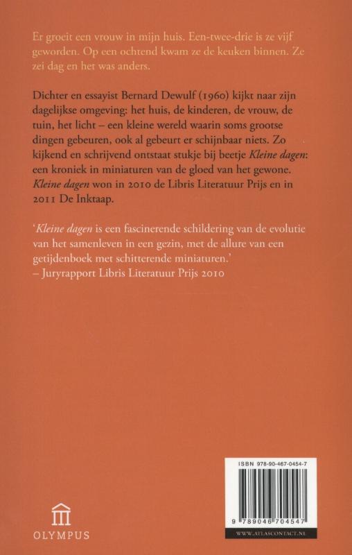 Achterkant van Kleine dagen