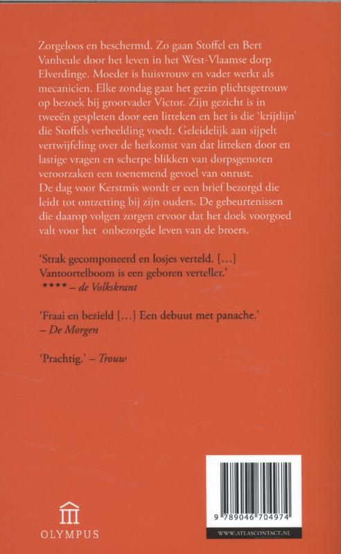 Achterkant van De verzonken jongen