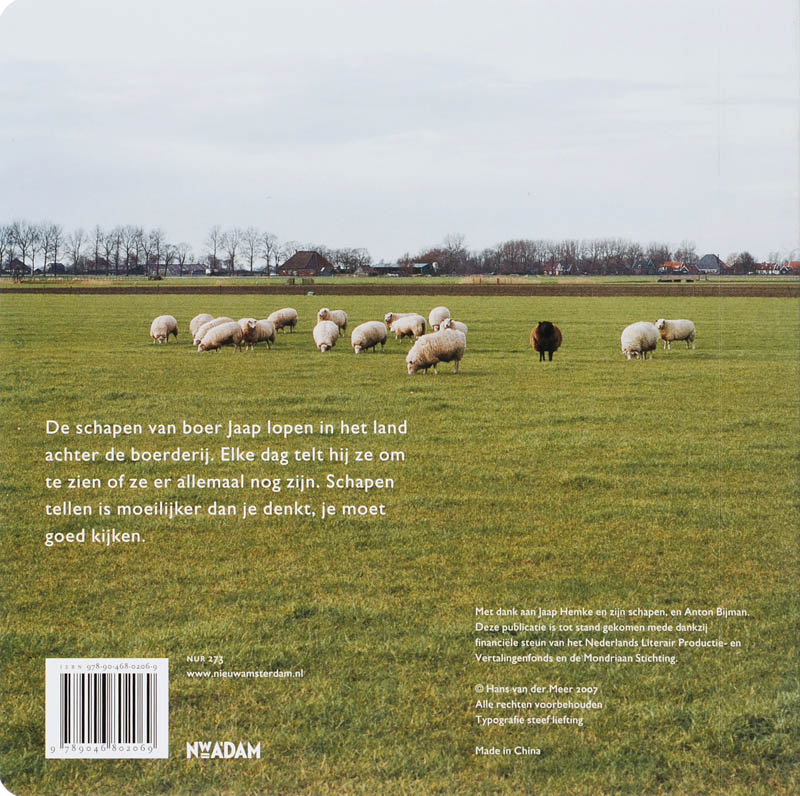 Achterkant van Schapen tellen