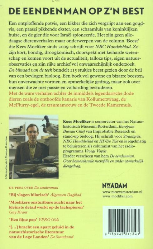 Achterkant van De bilnaad van de teek