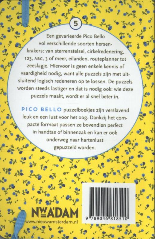 Achterkant van 99 logische puzzels