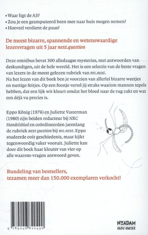 Achterkant van 300 alledaagse mysteries